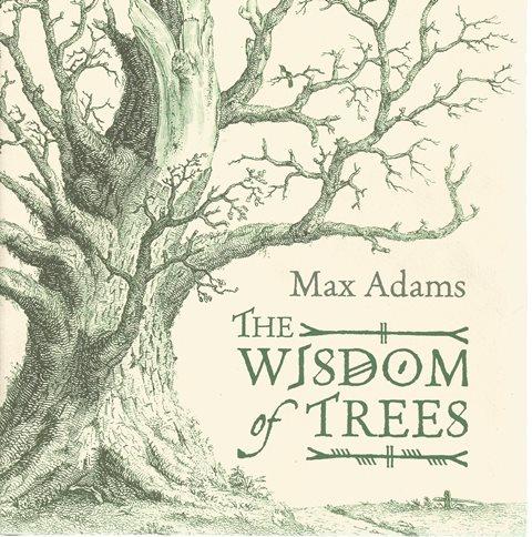 Front cover of The Wisdom of Trees by Max Adams