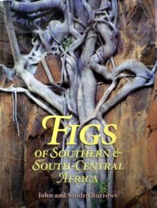 Front Cover of Figs Of Southern And South-Central Africa by John & Sandra Burrows