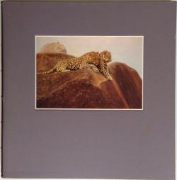 Back Cover of Cats of Africa by Anthony Hall-Martin and Paul Bosman
