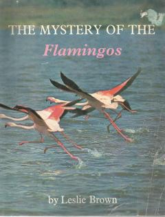 Front Cover of The Mystery of the Flamingos by Leslie Brown 