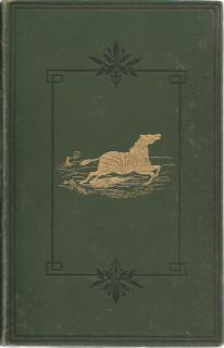 Front cover of  The Gold Regions of South Eastern Africa by Thomas Baines