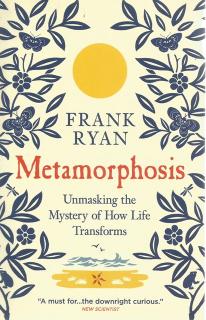 Front Cover of Metamorphosis by Frank Ryan