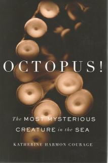 Front cover of Octopus! by Katherine Harmon Courage