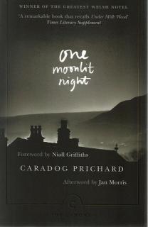 Front cover of One Moonlit Night by Caradog Prichard