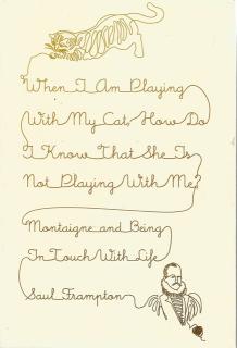 Front cover of When I am Playing with My Cat by Saul Frampton