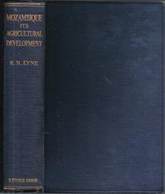 Front cover of Mozambique by R. N. Lyne