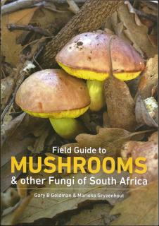 Front cover of Mushrooms & other Fungi by Goldman & Gryzenhout
