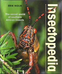Front cover of Insectopedia by Erik Holm