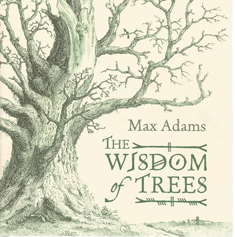 Front cover of The Wisdom of Trees by Max Adams